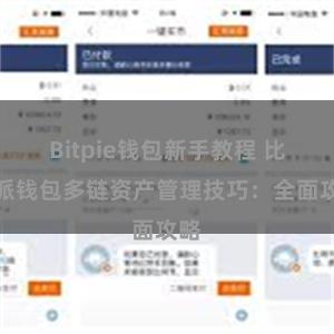 Bitpie钱包新手教程 比特派钱包多链资产管理技巧：全面攻略