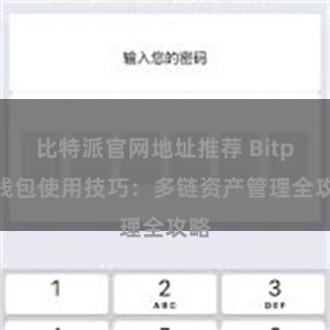 比特派官网地址推荐 Bitpie钱包使用技巧：多链资产管理全攻略