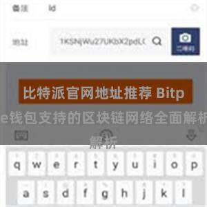 比特派官网地址推荐 Bitpie钱包支持的区块链网络全面解析