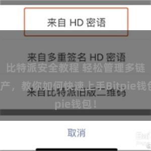 比特派安全教程 轻松管理多链资产，教你如何快速上手Bitpie钱包！