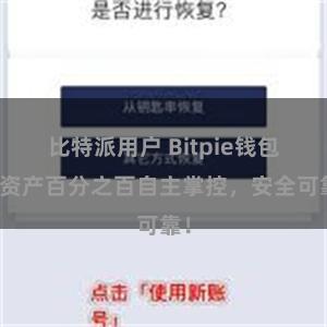 比特派用户 Bitpie钱包：资产百分之百自主掌控，安全可靠！