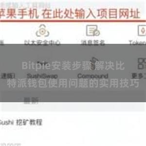 Bitpie安装步骤 解决比特派钱包使用问题的实用技巧