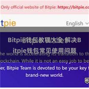 Bitpie钱包教程大全 解决Bitpie钱包常见使用问题