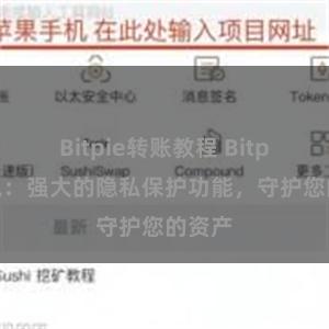 Bitpie转账教程 Bitpie钱包：强大的隐私保护功能，守护您的资产