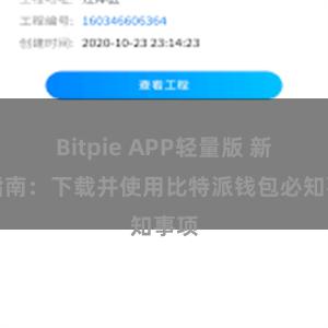 Bitpie APP轻量版 新手指南：下载并使用比特派钱包必知事项