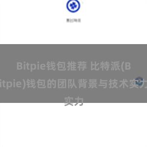 Bitpie钱包推荐 比特派(Bitpie)钱包的团队背景与技术实力