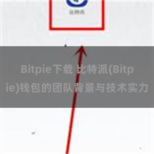 Bitpie下载 比特派(Bitpie)钱包的团队背景与技术实力