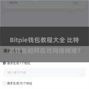 Bitpie钱包教程大全 比特派钱包如何应对网络拥堵？