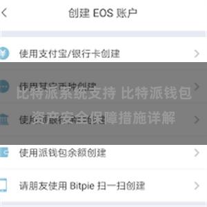 比特派系统支持 比特派钱包资产安全保障措施详解