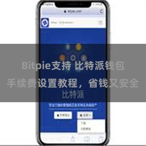 Bitpie支持 比特派钱包手续费设置教程，省钱又安全