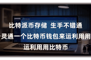比特派币存储  生手不错通过注册灵通一个比特币钱包来运利用用比特币