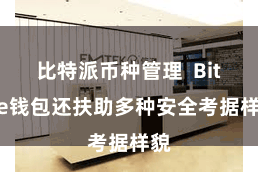 比特派币种管理  Bitpie钱包还扶助多种安全考据样貌