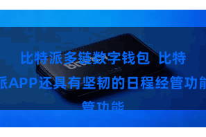 比特派多链数字钱包  比特派APP还具有坚韧的日程经管功能