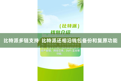 比特派多链支持  比特派还相沿钱包备份和复原功能