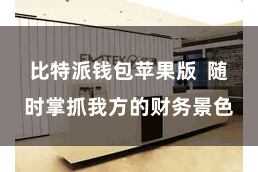 比特派钱包苹果版  随时掌抓我方的财务景色