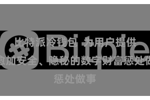 比特派冷钱包  为用户提供了愈加安全、隐秘的数字财富惩处做事