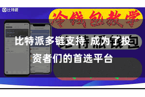 比特派多链支持  成为了投资者们的首选平台