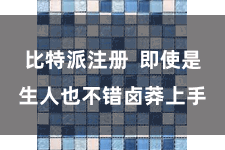 比特派注册  即使是生人也不错卤莽上手
